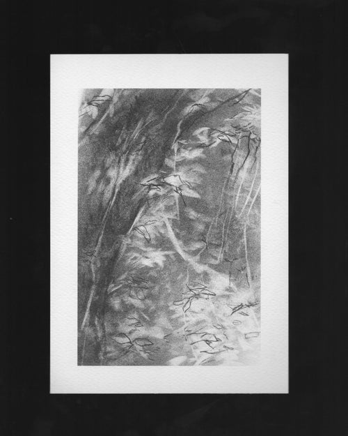 Print – No podemos observar las mismas cosas I