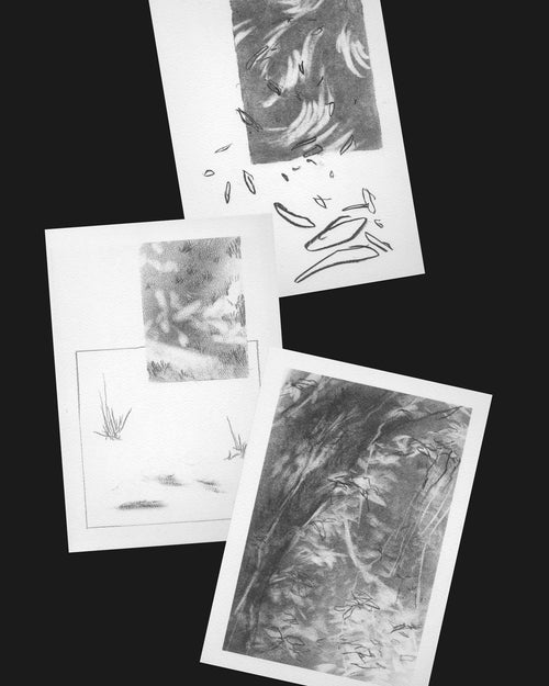 Print – No podemos observar las mismas cosas I