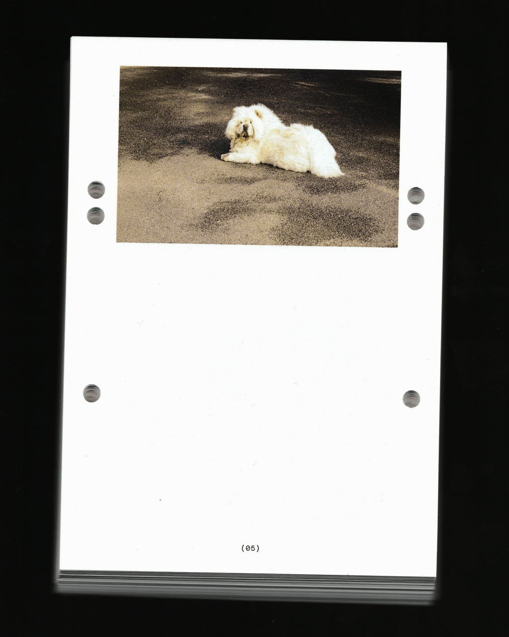 'Selected Works' x Fabrizio H. Pacheco